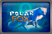 Polar Fox