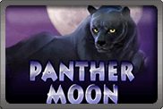 Panther Moon азартные автоматы